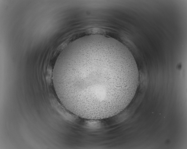 X0000116350189200912221510