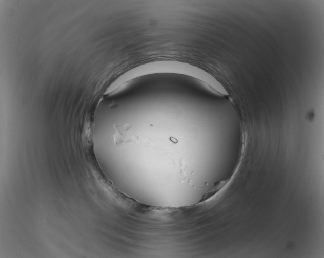 X0000116350190200912221510