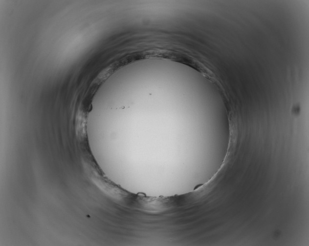 X0000116350191200912221510