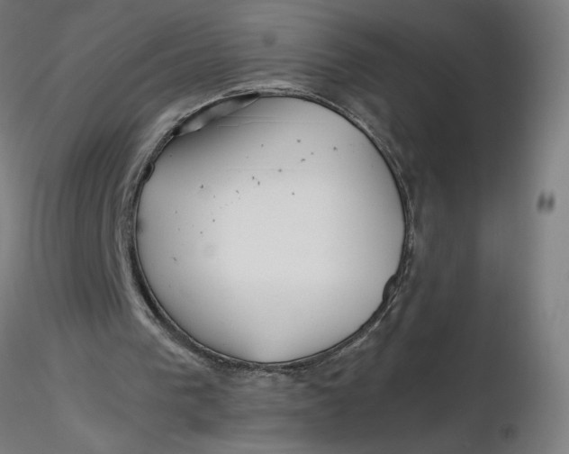 X0000116350193200912221509