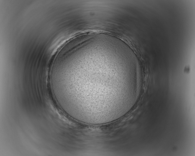 X0000116350194200912221509