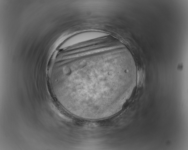 X0000116350195200912221509