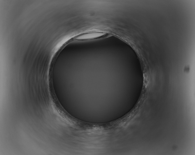 X0000116350196200912221509