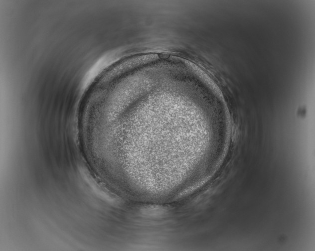 X0000116350198200912221509