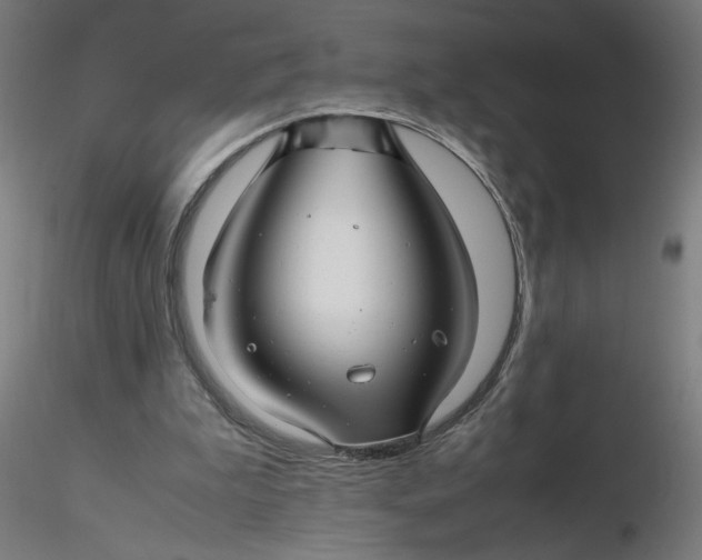 X0000116350199200912221509