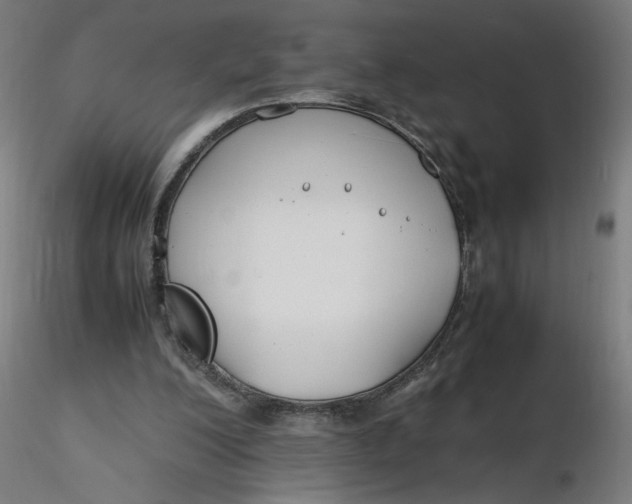 X0000116350200200912221509