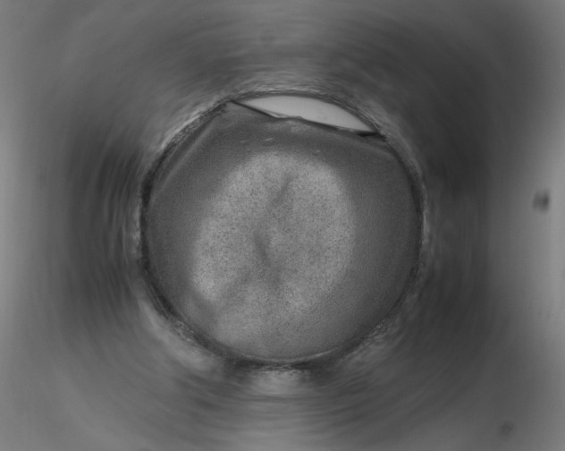 X0000116350202200912221509