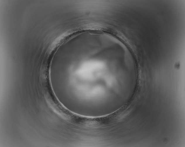 X0000116350203200912221509