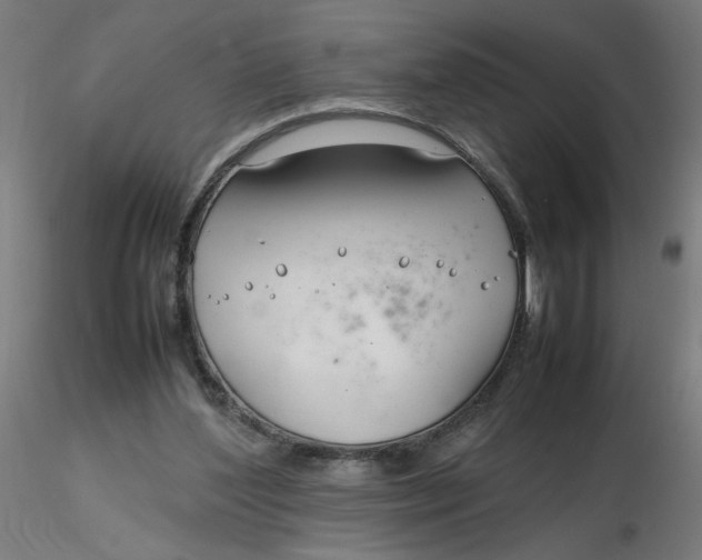 X0000116350204200912221509