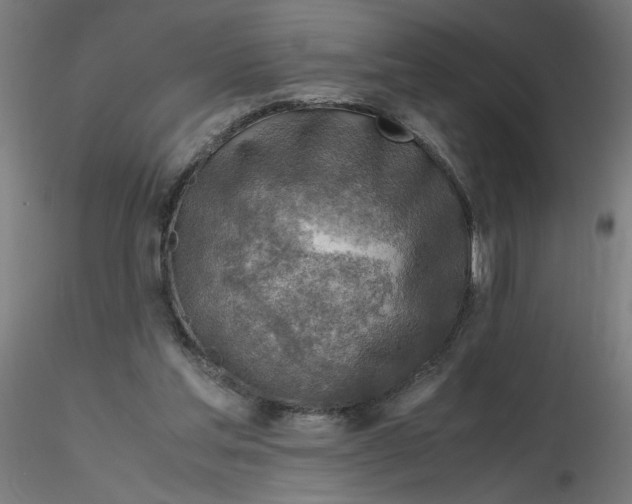 X0000116350205200912221509
