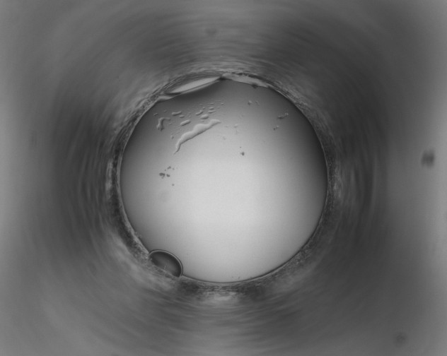 X0000116350206200912221509