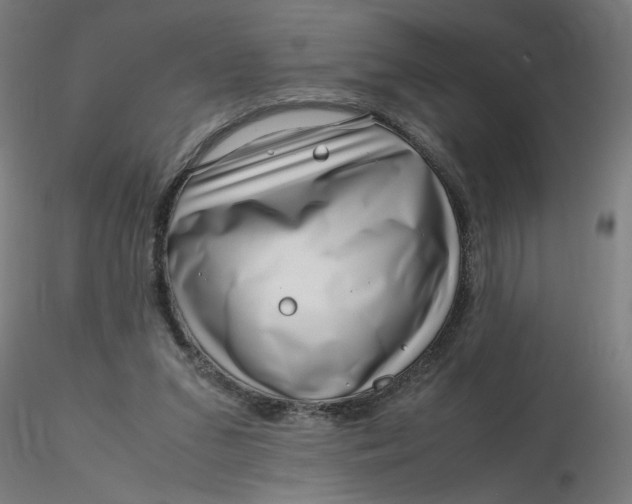X0000116350207200912221509