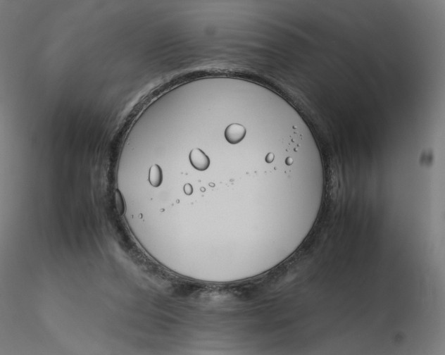 X0000116350208200912221509