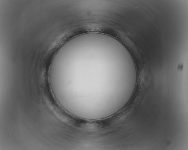 X0000116350209200912221509