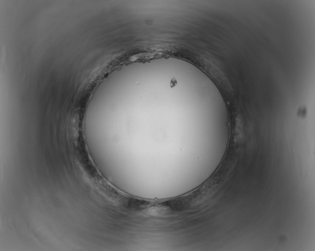 X0000116350210200912221509