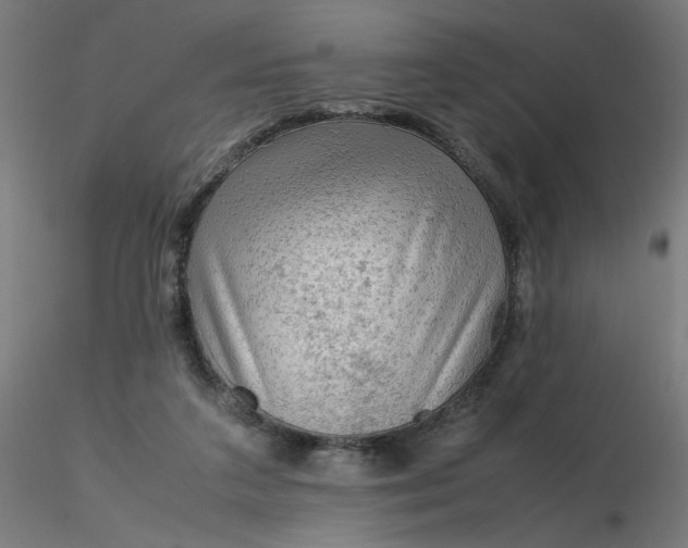 X0000116350211200912221509