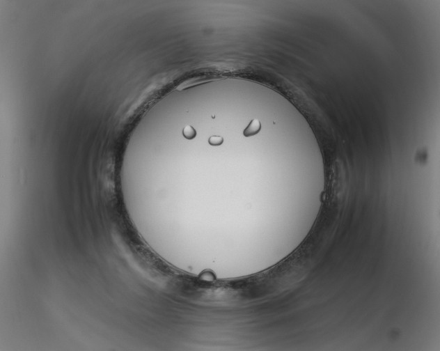 X0000116350212200912221509