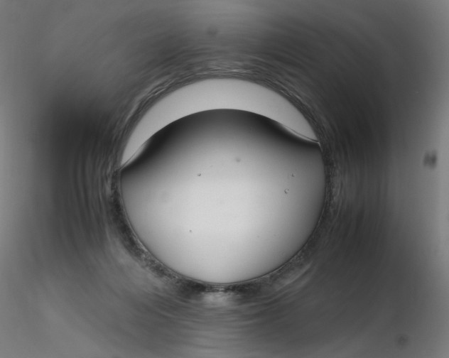 X0000116350216200912221509