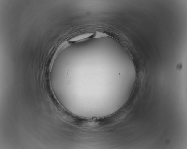 X0000116350217200912221509