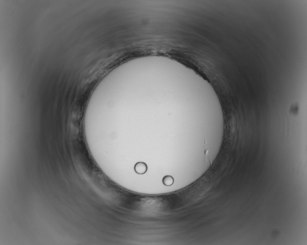 X0000116350218200912221509