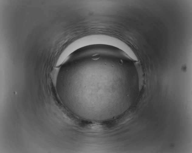 X0000116350219200912221509