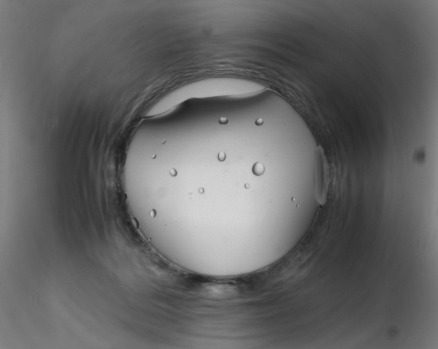 X0000116350220200912221509