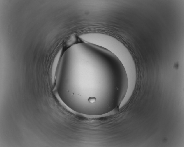 X0000116350221200912221509