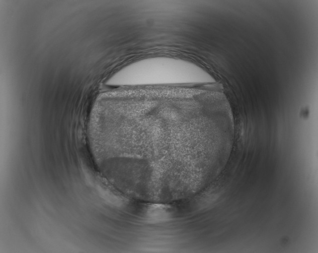 X0000116350222200912221509