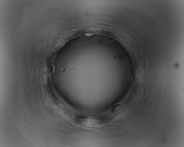 X0000116350223200912221508