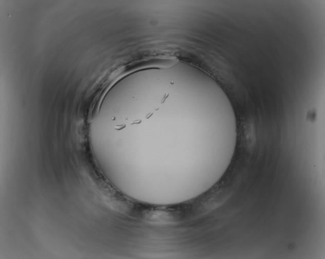 X0000116350224200912221508