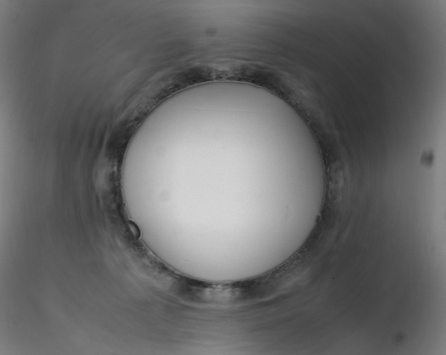X0000116350225200912221508