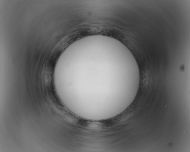 X0000116350226200912221508