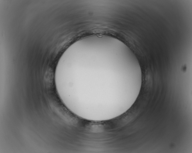 X0000116350228200912221508