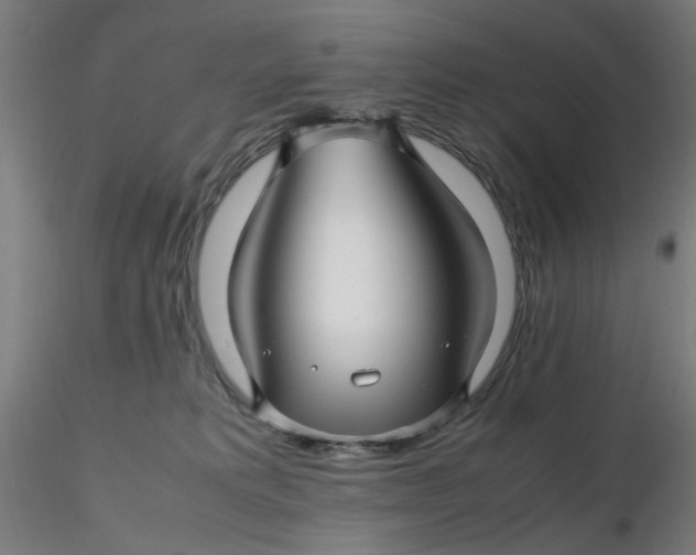 X0000116350229200912221508