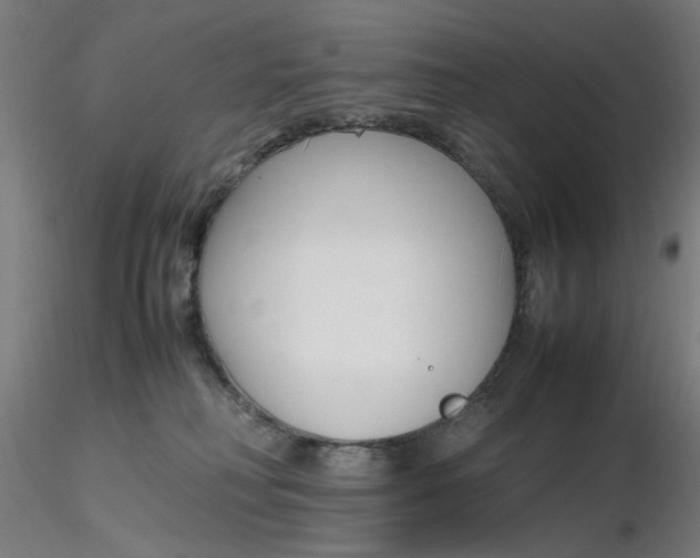 X0000116350230200912221508