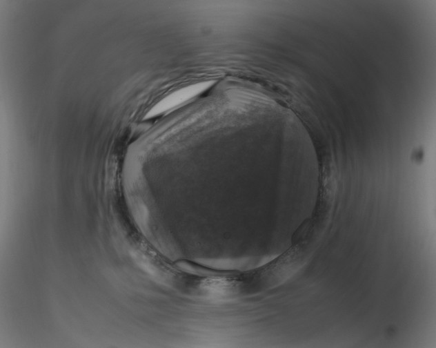 X0000116350231200912221508