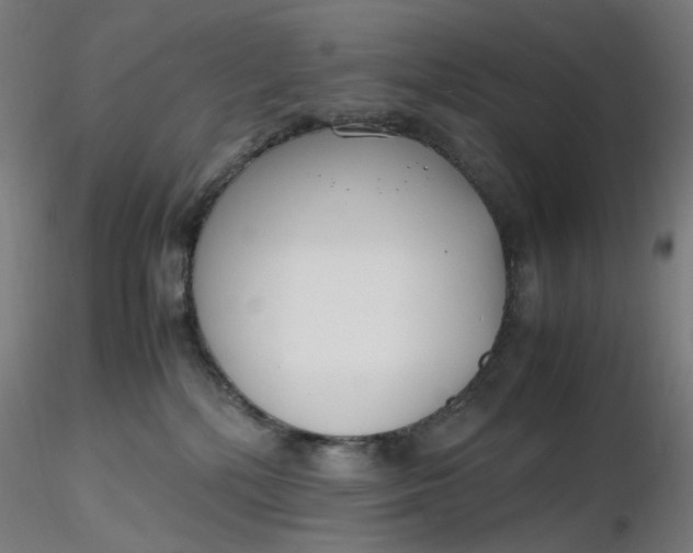 X0000116350232200912221508