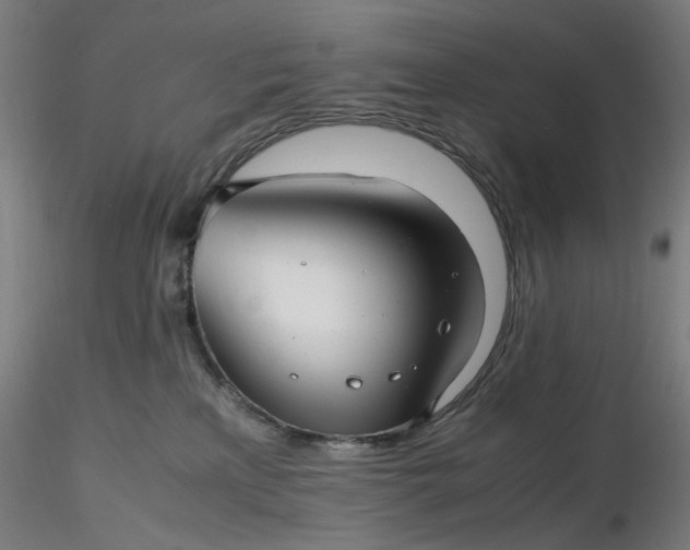 X0000116350233200912221508