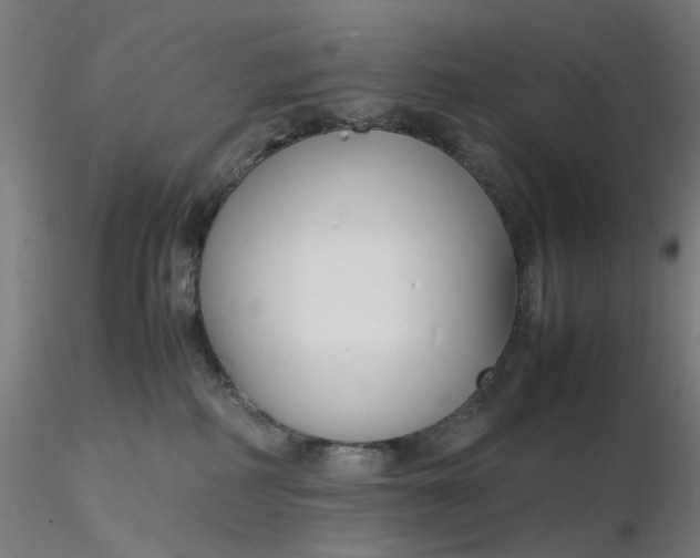 X0000116350234200912221508