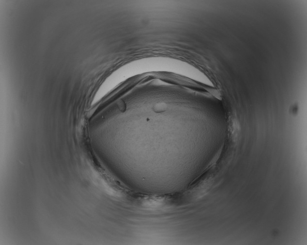 X0000116350235200912221508