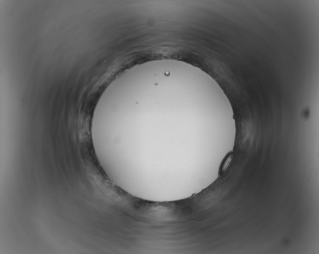 X0000116350236200912221508