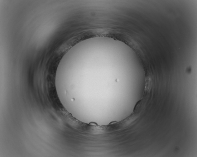 X0000116350238200912221508