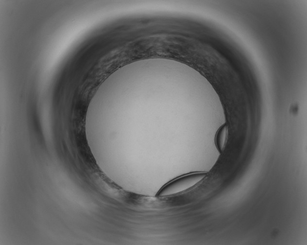 X0000116350239200912221508