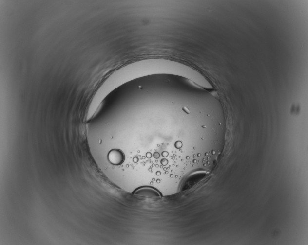 X0000116350240200912221508
