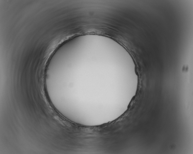 X0000116350241200912221508