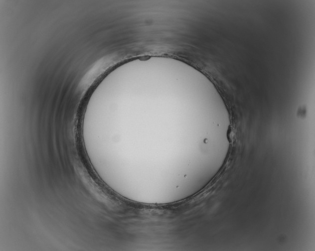 X0000116350242200912221508