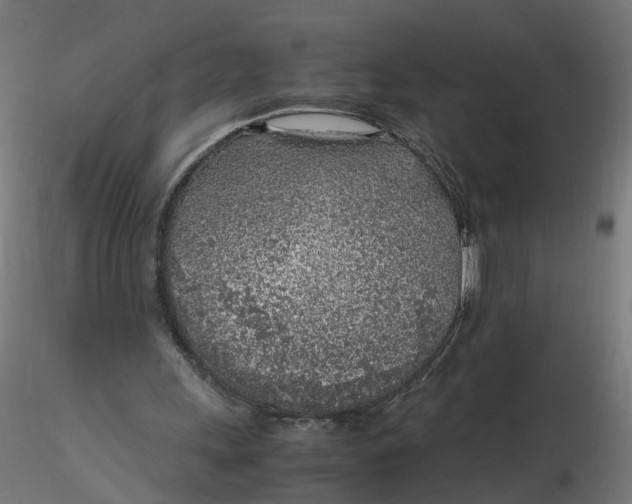 X0000116350243200912221508