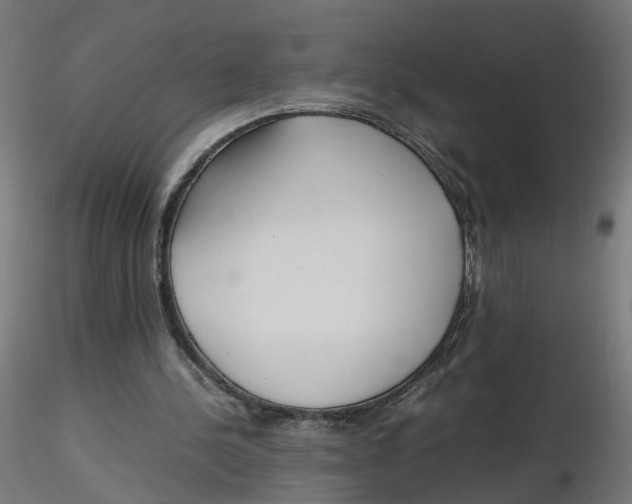 X0000116350244200912221508