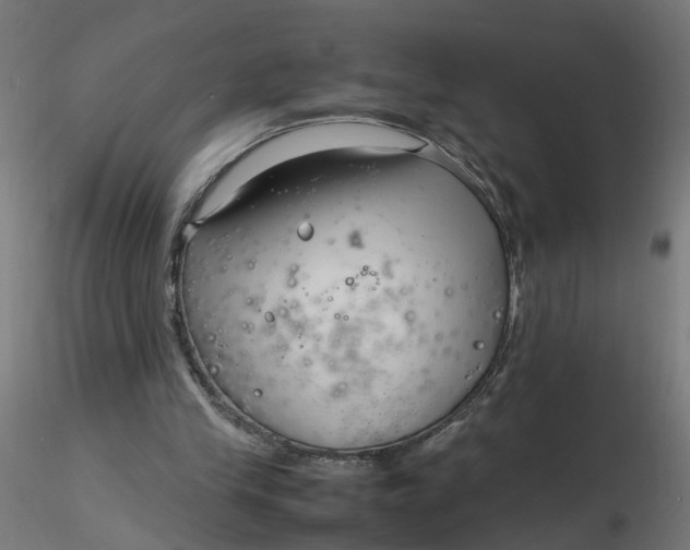 X0000116350245200912221508