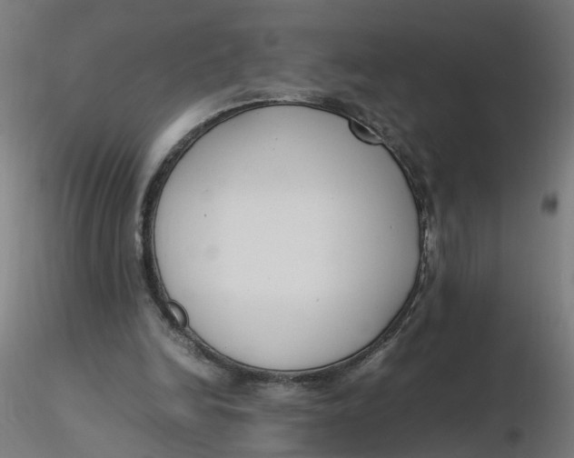 X0000116350246200912221508